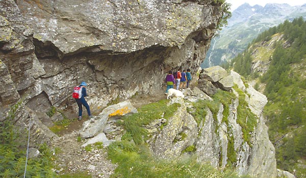 galleria